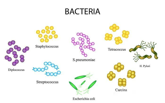 仿古磚加盟,仿古磚招商,仿古磚十大品牌,金達雅瓷磚,噴墨磚 仿古磚加盟,仿古磚招商,仿古磚十大品牌,金達雅瓷磚,噴墨磚